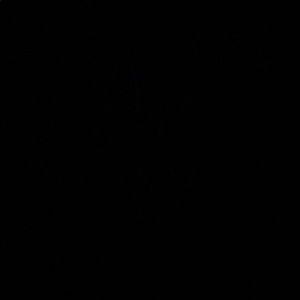 Meet your Posher, Monique